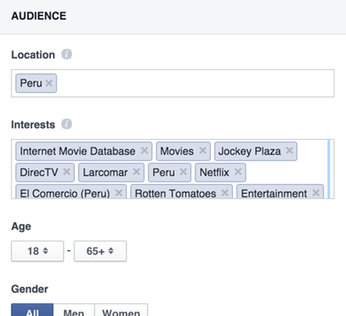 "Facebook Ad Configuration"