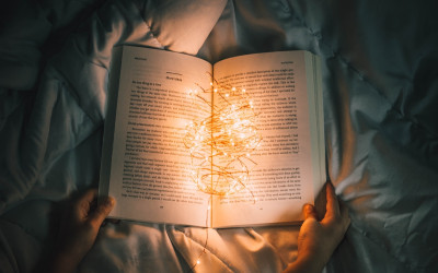 33 Books in 2019