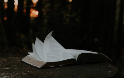 Book Reading Tips by Shane Parrish
