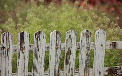 Decision-Making and Chesterton's Fence