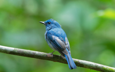 Why Twitter's firings are justified