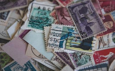 Ponzi Schemes and Short-Term Thinking