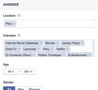 Facebook Ad Configuration "Facebook Ad Configuration"